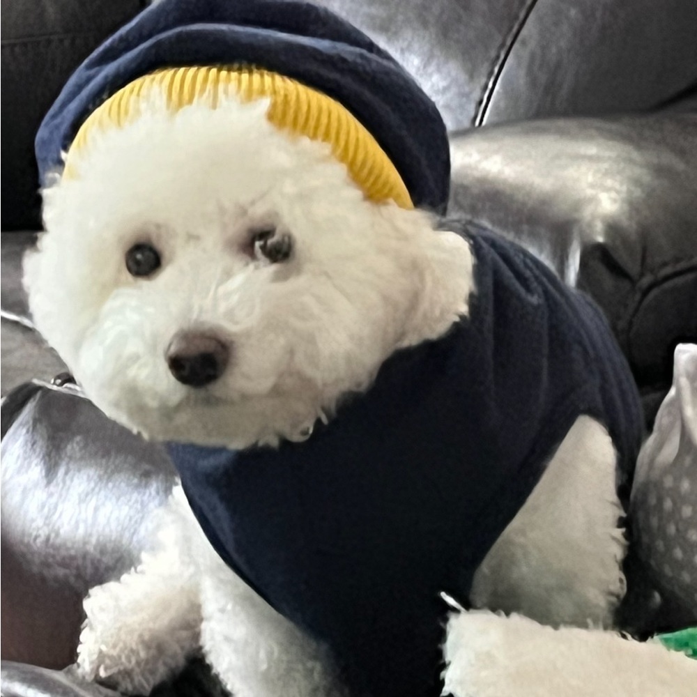 Meet your Posher, Vivi